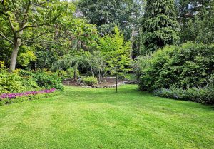 Optimiser l'expérience du jardin à Hesbecourt